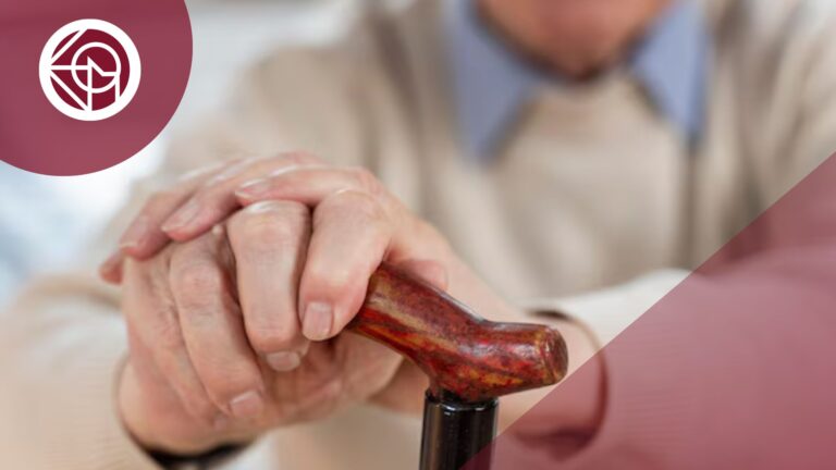 complemento de paternidad