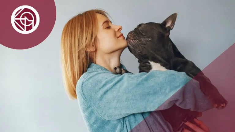 ¿Quién se queda con la custodia de las mascotas en caso de divorcio o separación?