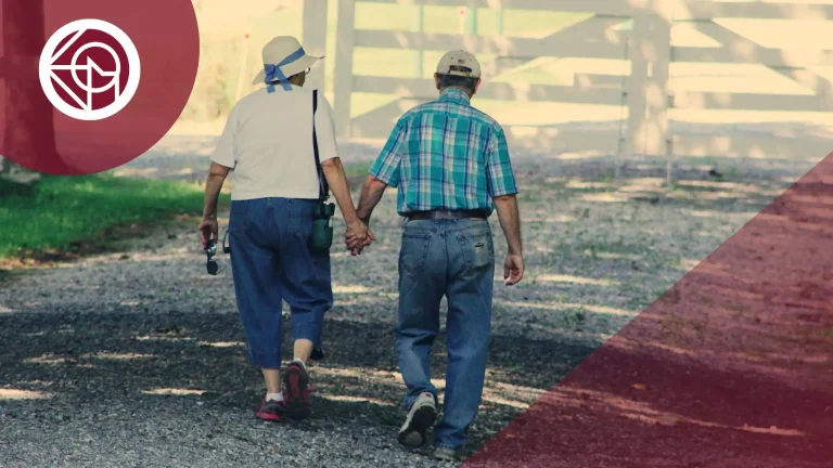 complemento de paternidad para jubilados entre 2016 y 2020