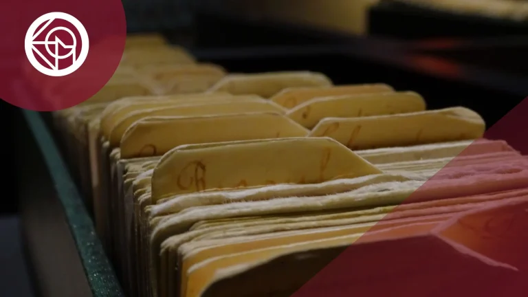 catalogo delitos personas juridicas