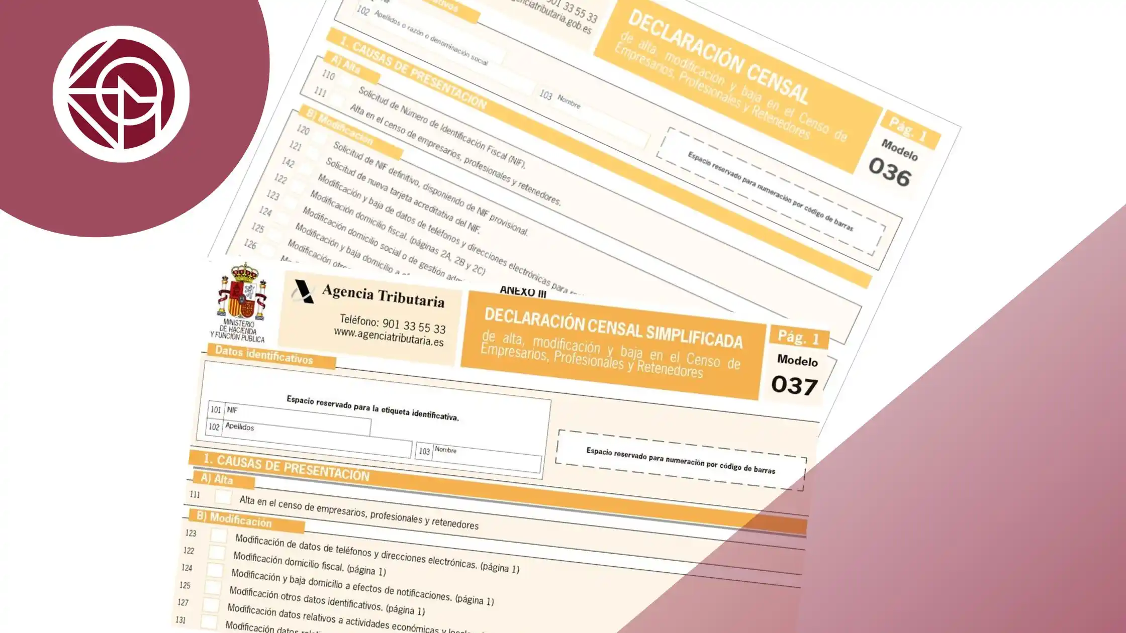 modelo 036/037 de alta en la actividad vigente