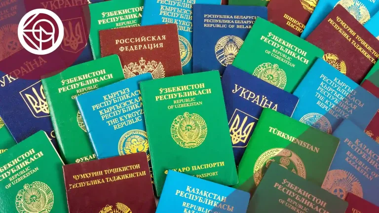 modelo de solicitud ex-15 concordancia