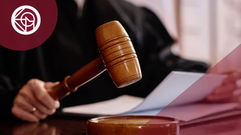 recurso de apelacion